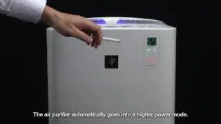 Sensor demo