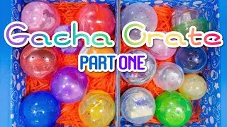 Mystery Gacha Crate Unboxing