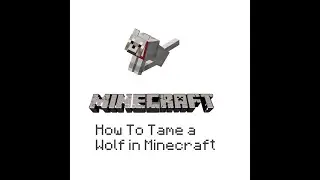 How to tame wolf in minecraft.