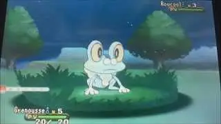 [🌟129] Grenousse chromatique / shiny Froakie - 4 223 resets Pokemon Y