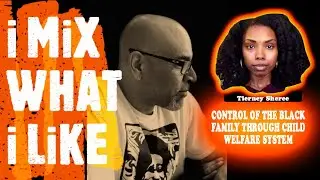 Control Of The Black Family Through the Child Welfare System with Tierney Sheree