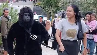 Kingkong dari planet lain..!! Funny video prank
