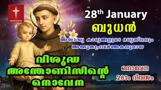 28th January വിശുദ്ധ അന്തോണീസ് നൊവേന | Day 28 St Antony's Novena VachanamTV Live Prayer #stantony