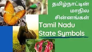 தமிழ்நாட்டின் மாநில சின்னங்கள் | Tamil Nadu State Symbols | Tamil Nadu GK | State Symbol List
