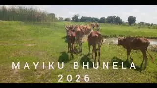 MAYIKU BHUNELA 2026 UJUMBE NABHAGESHE