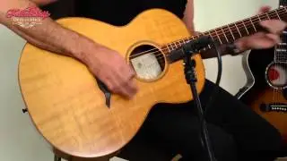 Guy Trameleuc PPI-15 | French-Japanese Lowden lookalike