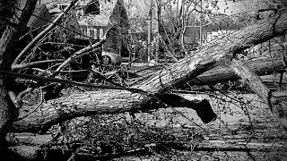 There Was A Severe Wind Storm In My Town..
