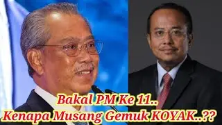 BAKAL PM KE 11..KENAPA MUSANG GEMUK KOYAK?#baluntetapbalun