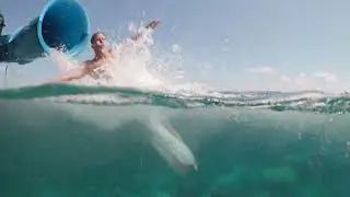 Sunlover Reef Cruises Waterslide | Moore Reef Pontoon Fun on the Great Barrier Reef