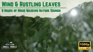 Nature Sounds - 8 Hours of Wind Rustling through Leaves - Noise Masking Sounds for Sleep & Focus