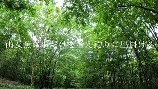 【渓流ルアー】釣りを楽しむ休日。