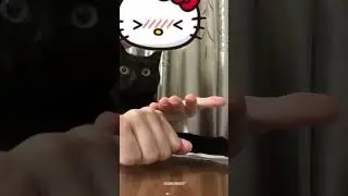 Cat&rsquo;s Magic Reaction Is Lowkey Wild 😂🐱 #catvideos  #catsoftiktok #funnycats #catcomedy #cutecats