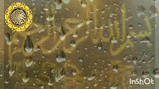 30 الجزء الثلاثين من القرآن الكريم (عم يتساءلون) بصوت الشيخ محمد المحيسني