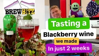 Tasting A Blackberry Wine Made in Just 2 Weeks