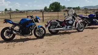Two sleek blue bullets.One laid-back black shadow.Guess who ruins the matching set.