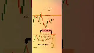 This Will Change Your Perspective About Stop loss hunting strategy in forex