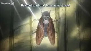 Cicada