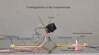 Vibration of the actuation body under sinusodial volatges of different amplitudes