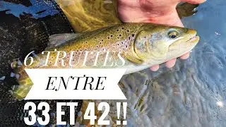Pêche TRUITE AU VAIRON manié / LES GROSSES sont ACTIVES / NO KILL