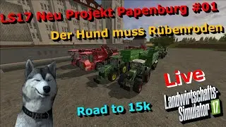 LS17 | R&uuml;benroden + Feldarbeiten Neu Projekt auf der Papenburg  Map   | Community Stream | 🛑LIVE🛑