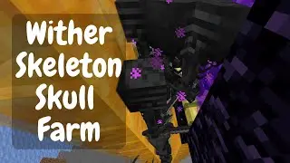 I built an insane wither skeleton farm in my nether world perimeter.