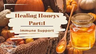 Healing Honey: Immune Support from the Hive 🍯 | Elderberry Family Farms