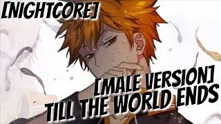 Nightcore - Till The World Ends (Male Version)