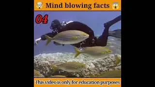 🤯 Top 5 Mind blowing fact  😱 // amazing facts // human body facts // facts // fact video //#shorts.