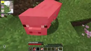 PureCraft SMP Ep, Season 1.