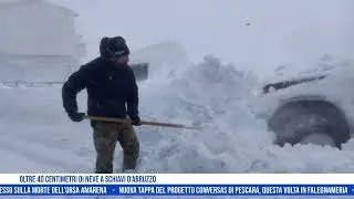 Oltre 40 centimetri di neve a Schiavi D'Abruzzo - TRSP - Abruzzo - News del 23-12-2024