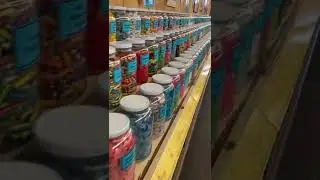 Visiting the World&rsquo;s Longest Candy Counter #springbreak2022