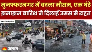 Weather Update: Muzaffarnagar में बदला मौसम, एक घंटे झमाझम बारिश ने दिलाई उमस से राहत | IMD Alert