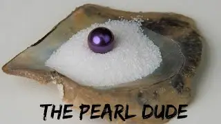 Pearl Oyster Openings! (Reveals 17752 - 17769)