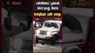 மல்லிகைப் பூவை கொட்டியது போல பொழியும் பனி மழை | Simla Snow | Heavy Snow | Simla Weather | Heavy Mist