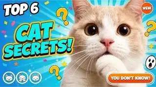 6 Insane Cat Facts That Will Shock You