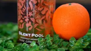 Silent Pool Rare Citrus Gin Launch - Promo Video