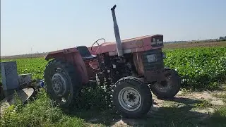 Old tractor