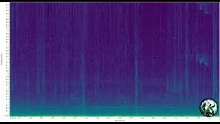 KELȽOLEMEĆEN - SRKW - Galiano Isl. - 09/23/2025 13:34
