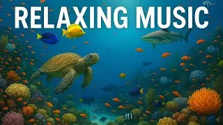 Ultra HD Aquarium View – Beautiful Reef Fish with Calming Sleep Music