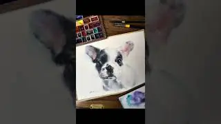 Watercolor Painting Black and White Dog