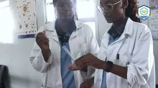 EASTC TECHNICAL SCHOOL : SCIENCE EXPERIMENTS - DNA EXTRACTION