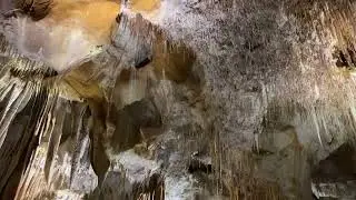 Tantanoola Caves Conservation Park