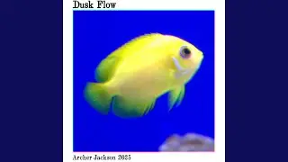 Dusk Flow