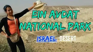 Ein Avdat|ISRAEL DESERT