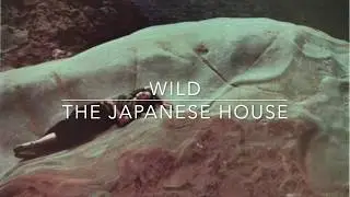 wild - the japanese house // lyrics