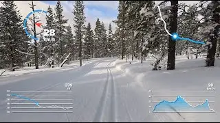 Saariselk&auml; ladut. Laskettelua Murtomaasuksilla Lapissa. Urho Kekkosen Kansallispuisto