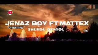 mattex ft jenaz boy  --shungu dzangu  ( official  music) 2025