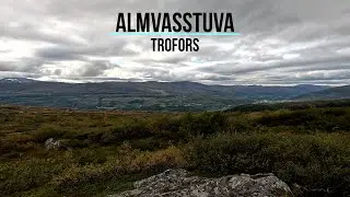 Almvasstuva, Trofors (233)
