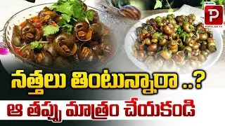 నత్తలు తింటున్నారా ..? | Snail Curry Health Benefits | Sea Food Health Tips | Telugu Popular TV