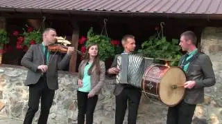 Гурт 